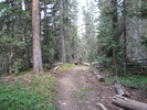 photo thumbnail #3