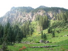 photo thumbnail #8