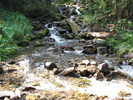 photo thumbnail #14