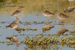 photo thumbnail #9
