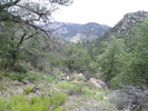 photo thumbnail #9