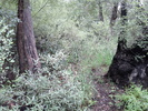 photo thumbnail #15