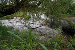 photo thumbnail #6