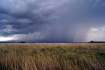 photo thumbnail #15