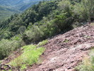 photo thumbnail #13