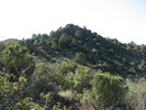 photo thumbnail #15