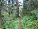 photo thumbnail #6