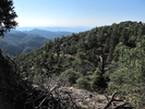 photo thumbnail #8