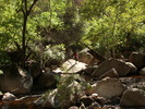 photo thumbnail #13
