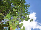 photo thumbnail #14
