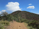 photo thumbnail #2