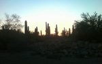 photo thumbnail #2