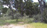 photo thumbnail #3