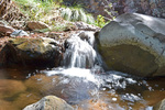 photo thumbnail #10