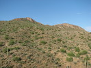 photo thumbnail #4