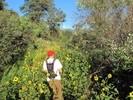 photo thumbnail #4