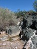 photo thumbnail #3