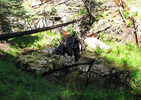 photo thumbnail #5