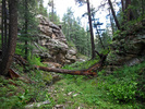 photo thumbnail #7