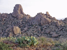 photo thumbnail #5
