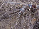 photo thumbnail #11