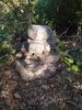 photo thumbnail #2