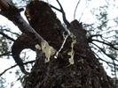 photo thumbnail #13
