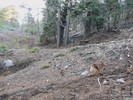 photo thumbnail #1