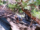 photo thumbnail #7