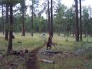 photo thumbnail #8