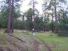 photo thumbnail #13