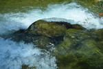 photo thumbnail #14