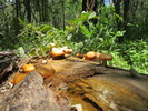 photo thumbnail #7