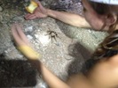 photo thumbnail #9