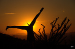 photo thumbnail #1