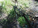 photo thumbnail #5