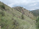 photo thumbnail #9
