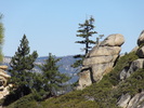 photo thumbnail #8