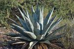 photo thumbnail #6