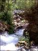 photo thumbnail #15