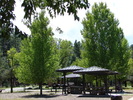 photo thumbnail #10