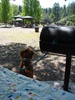 photo thumbnail #6