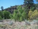 photo thumbnail #3