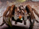 photo thumbnail #7
