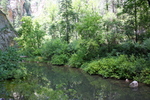 photo thumbnail #10