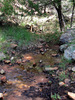 photo thumbnail #12