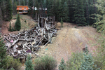 photo thumbnail #2