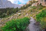 photo thumbnail #3