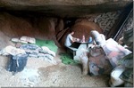 photo thumbnail #2