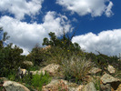 photo thumbnail #10